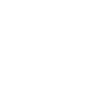 springinstitute